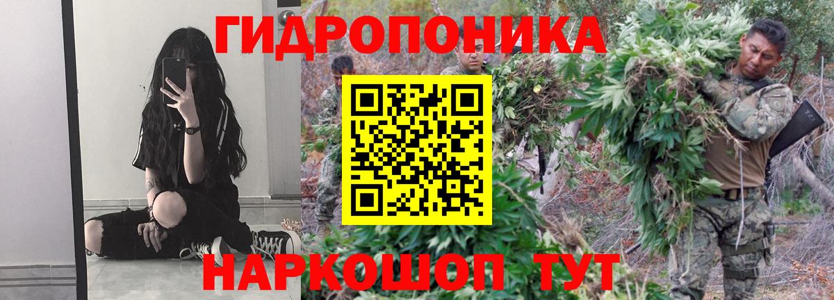 Канабис SATIVA & INDICA Лесосибирск